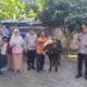 Kapolres Jombang Serahkan Sapi Kurban dari Kapolda Jatim untuk Dua Ponpes