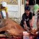 Kolaborasi Tiga Media Online Gelar Kurban Iduladha 1447 H, Bagikan Daging di Gresik dan Surabaya.