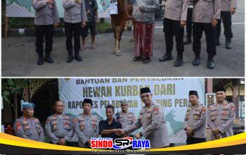 Jajaran Polres Pelabuhan Tanjung Perak menyerahkan hewan kurban kepada warga dalam kegiatan Iduladha 1447 H di Mapolres Pelabuhan Tanjung Perak.
