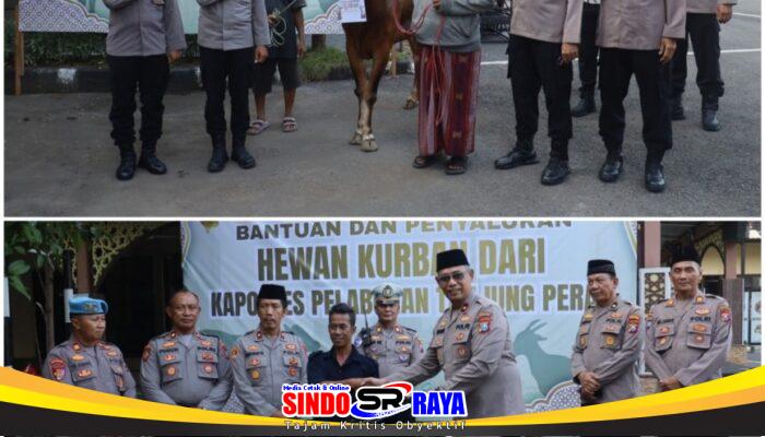Polres Pelabuhan Tanjung Perak Salurkan Hewan Kurban untuk Warga di Iduladha 1447 H