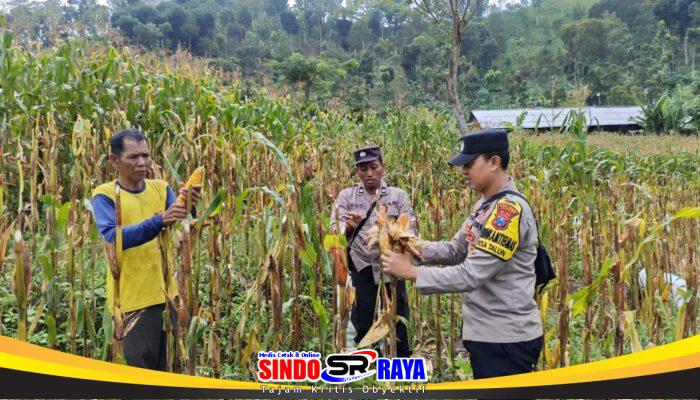 Polres Ponorogo Sahabat Petani, Dampingi Warga Wujudkan Swasembada Pangan