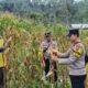 Polres Ponorogo Sahabat Petani, Dampingi Warga Wujudkan Swasembada Pangan