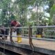 Semangat Gotong Royong, Jembatan Perintis Garuda Jadi Kebanggaan Warga Desa Mangkusip