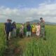 Babinsa Parit Baru Komsos Bersama Petani, Dukung Ketahanan Pangan Wilayah