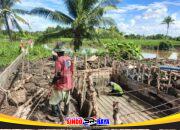 Pemancangan Kayu Galam Rampung, Personel Kodim 1009/Tanah Laut Mulai Rakit Besi Angkur Box Tepi Jauh Jembatan Garuda