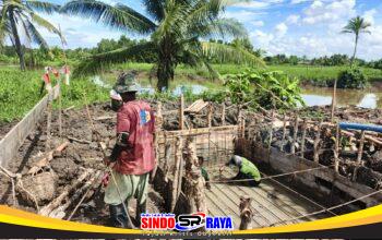 Pemancangan Kayu Galam Rampung, Personel Kodim 1009/Tanah Laut Mulai Rakit Besi Angkur Box Tepi Jauh Jembatan Garuda