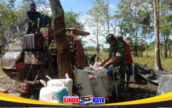 Sertu Solikin Hadir di Tengah Petani, Dukung Ketahanan Pangan dan Kesejahteraan Warga