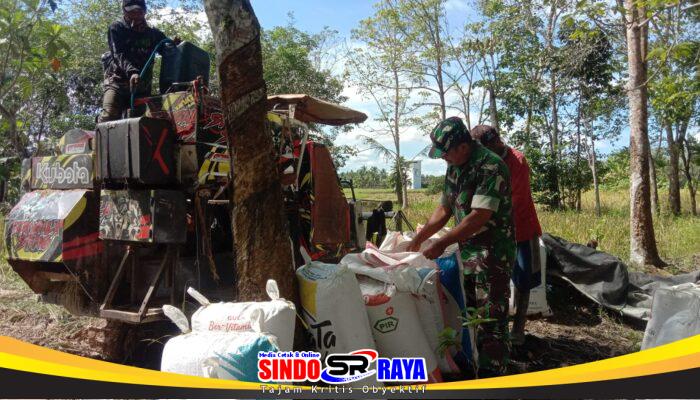 Sertu Solikin Hadir di Tengah Petani, Dukung Ketahanan Pangan dan Kesejahteraan Warga
