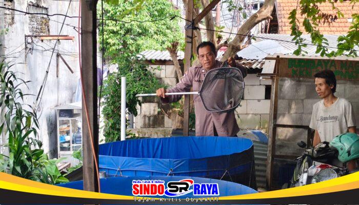 Polrestabes Surabaya Bersama Warga Embong Kaliasin Bangun Ketahanan Pangan Lewat Budidaya Lele dan UMKM Abon Lele