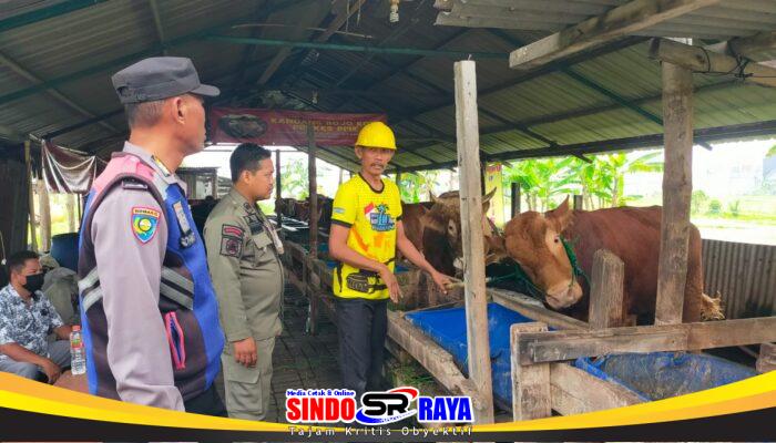 Polsek Pakal Dukung Ketahanan Pangan Lewat Sambang Peternak Sapi di Surabaya