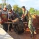 Personel Kodim 1009/Tanah Laut Gotong Royong Seberangkan Main Rope Jembatan Ratusan Kilogram Gunakan Ponton