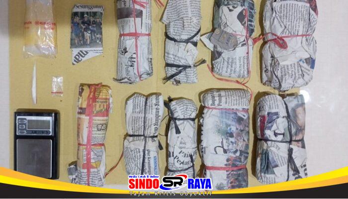Satresnarkoba Polrestabes Surabaya Amankan Kurir Sabu dan Ganja