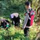 Bhabinkamtibmas Polsek Pasrepan Pantau Tanaman Jagung, Dukung Asta Cita Ketahanan Pangan Nasional