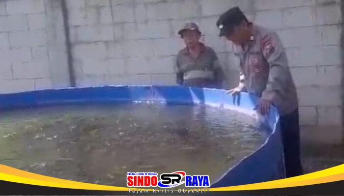 Tak Hanya Jaga Kamtibmas, Polisi di Rembang Dampingi Budidaya Lele Warga