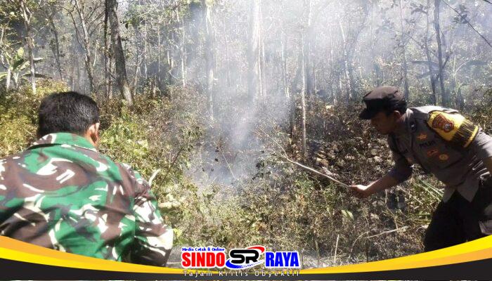Respon Cepat Call Center 110 Polres Ngawi, Kebakaran Lahan di Bukit Gogor Sine Berhasil Dipadamkan