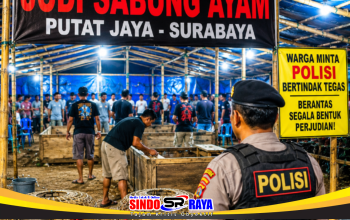Dugaan Judi Sabung Ayam di Putat Jaya Surabaya Disorot, Warga Tagih Ketegasan Polisi