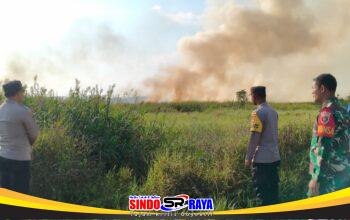 Sinergi TNI, Polri, dan Warga Padamkan Kebakaran Lahan di Tabalong