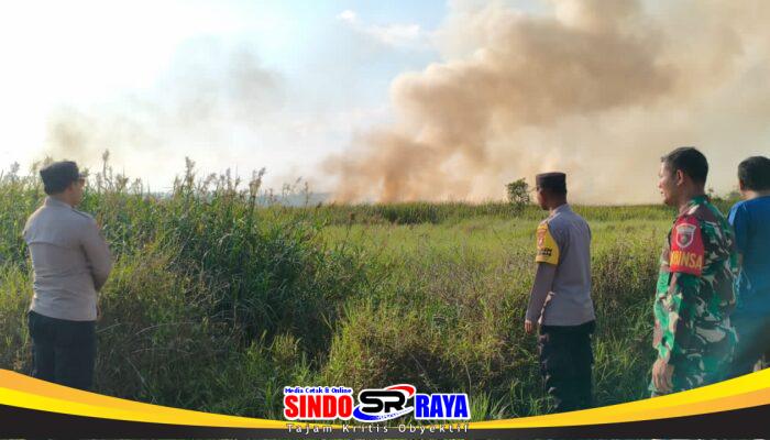 Sinergi TNI, Polri, dan Warga Padamkan Kebakaran Lahan di Tabalong