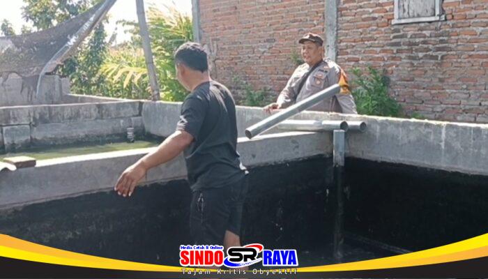 Pantau Budidaya Lele di Genengwaru, Bhabinkamtibmas Pastikan Pertumbuhan Ikan Berjalan Baik