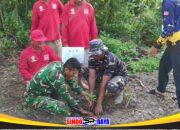Satgas TMMD Reguler ke-129 Tanam Pohon di Lokasi TMMD