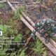 Babinsa Desa Lela Koramil 07/Tlk Laksanakan Ground Check Hotspot Karhutla Terpantau Satelit