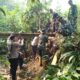 Sambut HUT ke-81 TNI, Kodim 1002/HST Perbaiki Jalan Usaha Tani dan Jembatan di Tanah Habang