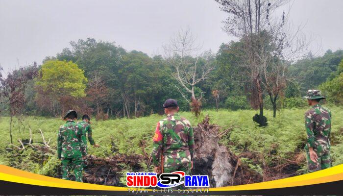 Babinsa Temajuk Koramil 08/Paloh Lakukan Patroli Lahan Antisipasi Karhutla
