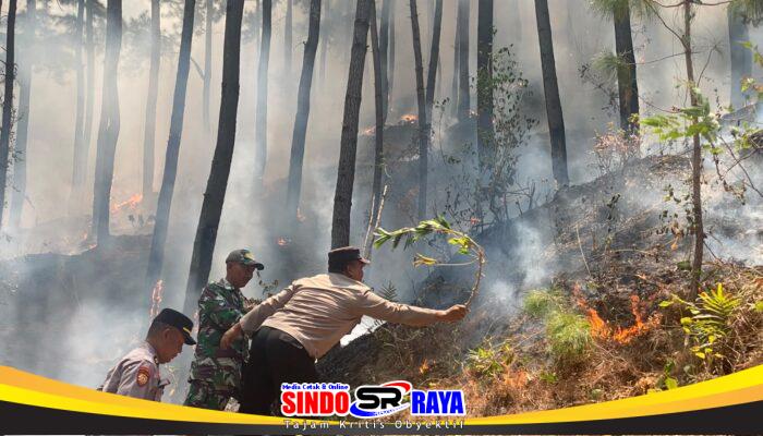 Polres Ponorogo dan Tim Gabungan Tembus Medan Curam Lereng Gunung Limas Padamkan Api Karhutla