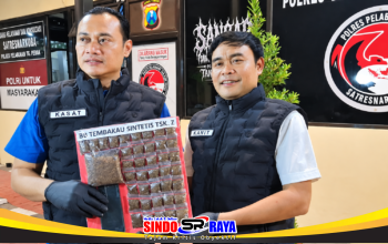 Petugas Polres Pelabuhan Tanjung Perak menunjukkan barang bukti tembakau sintetis dalam pengungkapan peredaran narkotika di Surabaya.