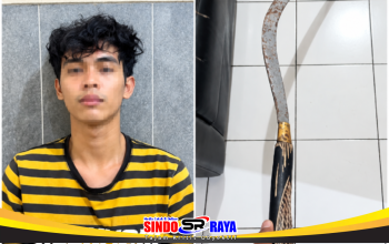 Polrestabes Surabaya ungkap kepemilikan celurit 1,5 meter untuk tawuran