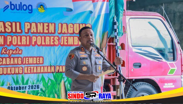 Dukung Ketahanan Pangan, Polres Jember Gandeng Bulog Serap Hasil Panen Jagung Petani Puger
