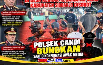Dugaan Sabung Ayam di Desa Klurak Disorot, Polsek Candi Bungkam Saat Dikonfirmasi Awak Media