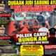 Dugaan Sabung Ayam di Desa Klurak Disorot, Polsek Candi Bungkam Saat Dikonfirmasi Awak Media